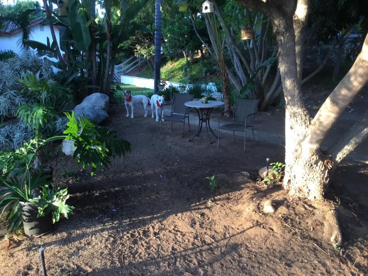 Beautiful New Detached Casita Nestled In Scenic Southern Ca Foothills! フォールブルック エクステリア 写真