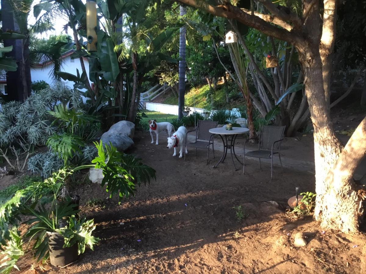 Beautiful New Detached Casita Nestled In Scenic Southern Ca Foothills! フォールブルック エクステリア 写真