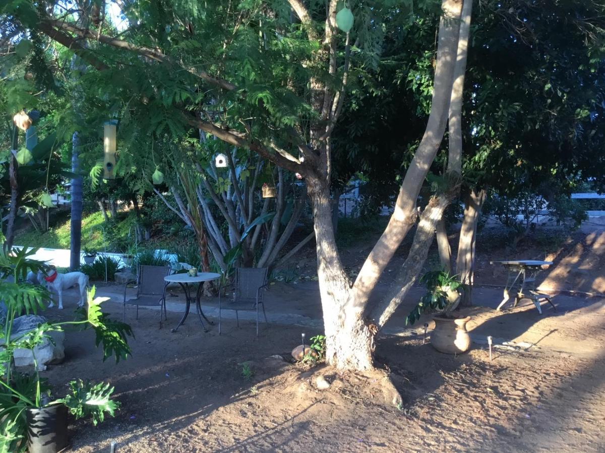 Beautiful New Detached Casita Nestled In Scenic Southern Ca Foothills! フォールブルック エクステリア 写真